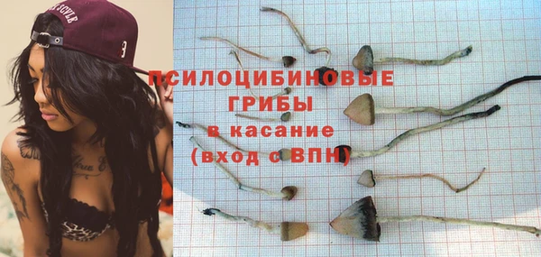 стафф Баксан