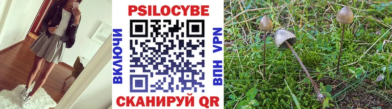 Псилоцибиновые грибы Cubensis даркнет сайт Калуга