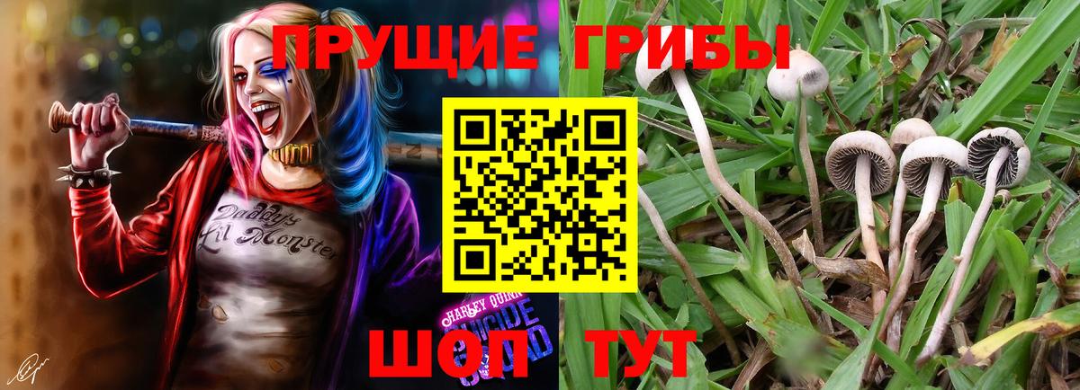 Калуга  Псилоцибиновые грибы ЛСД  Вход с VPN 