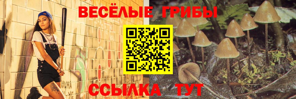Псилоцибиновые грибы MAGIC MUSHROOMS Калуга